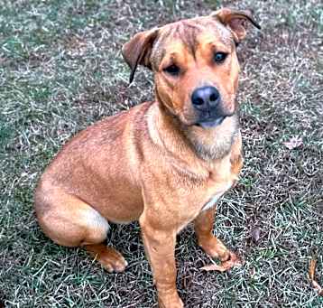 Photo of Tanner