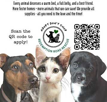 Photo of *DOG FOSTERS NEEDED*