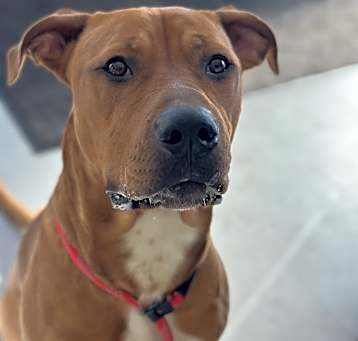 Photo of Sir Charles