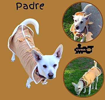 Photo of Padre