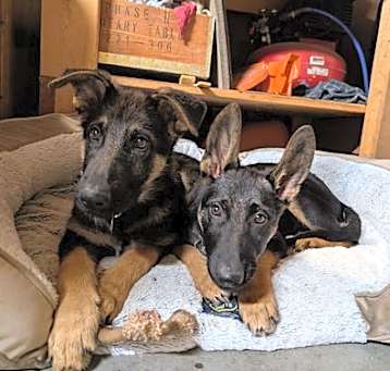 Photo of Stryder 6869