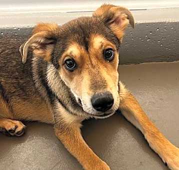 Photo of Murphy