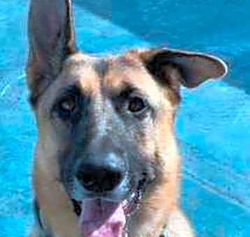 Photo of Polo