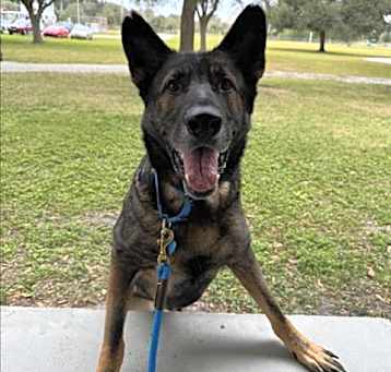 Photo of RUGER