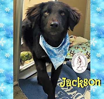 Photo of Jackson