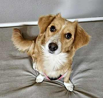 Photo of Mama Lucy