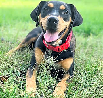 Photo of Max