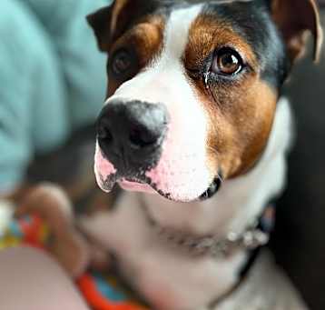 Photo of Stu