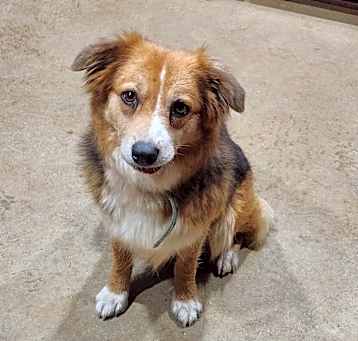 Photo of LuLu