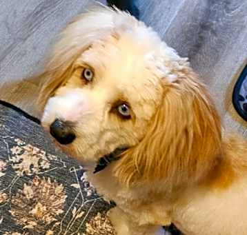 Photo of Betty