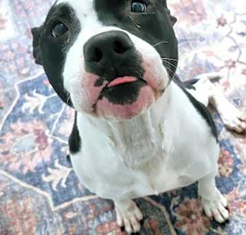 Photo of Sally
