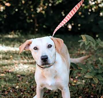 Photo of Arya