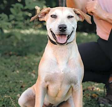 Photo of Bow