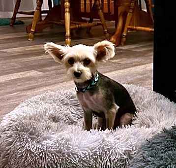 Photo of TiTi