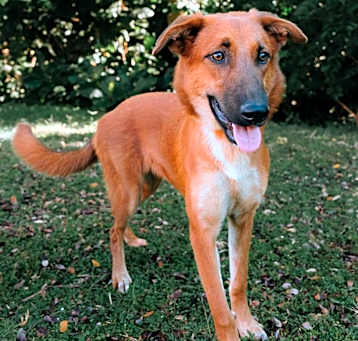 Photo of Lucia