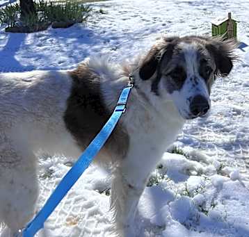 Photo of Charlie jane