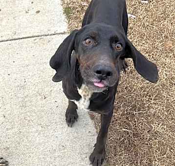 Photo of Ruby