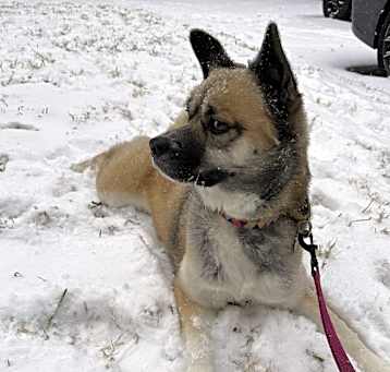 Photo of Xena