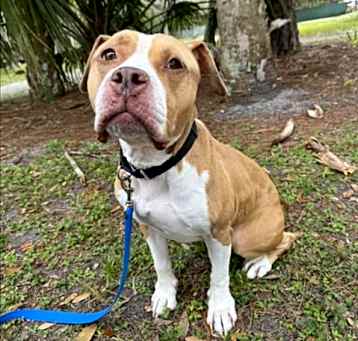 Photo of ACE