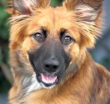 Photo of Sadie WSR