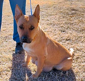 Photo of Athena