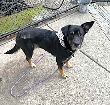 Photo of Sugar