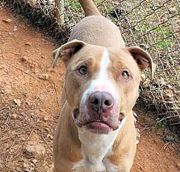 Photo of Cash
