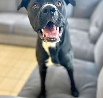 Photo of Walter
