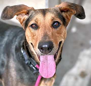 Photo of JUBILEE