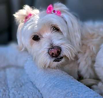 Photo of Candy