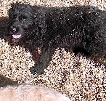 Photo of NEWK