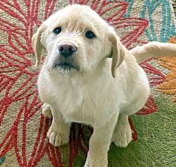 Photo of SONNY