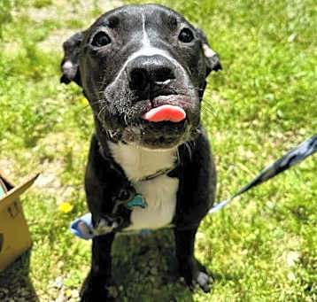 Photo of Gunther