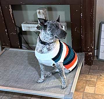 Photo of Booger