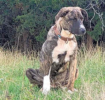 Photo of Laverne