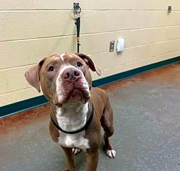 Photo of Clyde