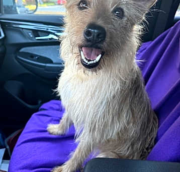 Photo of Nala