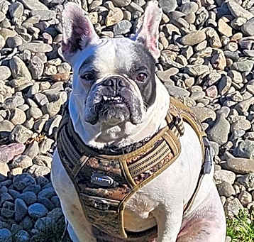 Photo of Myla