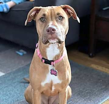 Photo of Ashland/ Nala