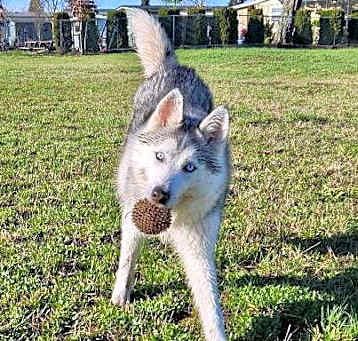 Photo of Zero