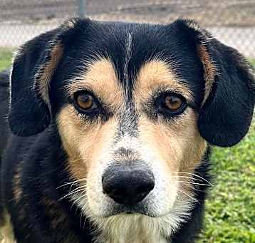 Photo of Kirby
