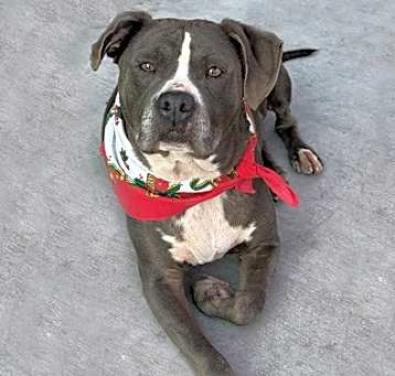 Photo of Coco