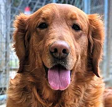 Photo of Belle
