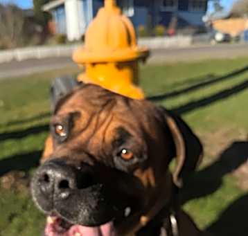 Photo of Tiny
