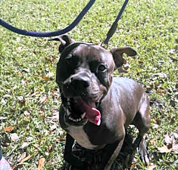 Photo of SHADOW