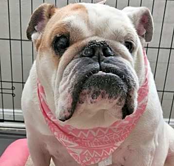 Photo of Maya