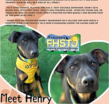 Photo of Henry