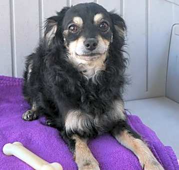 Photo of Lucy