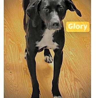 Photo of Glory