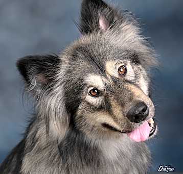 Photo of Yona